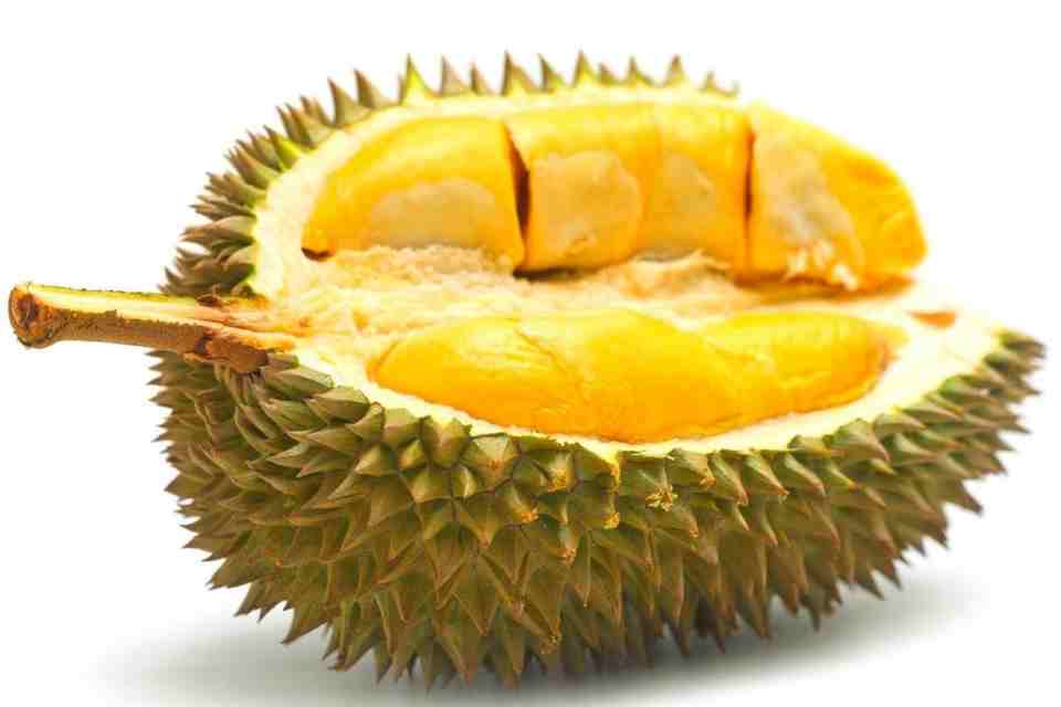Durian une chair onctueuse et parfumée