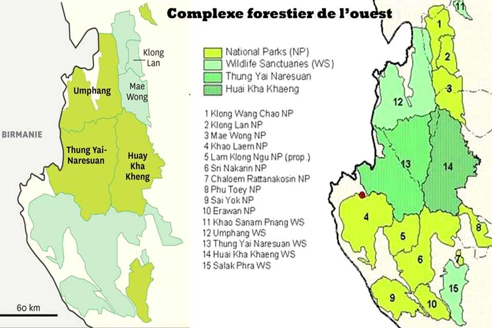 [fr]Complexe forestier de l'ouest de la Thaïlande[en]Forest Complex of Western Thailand