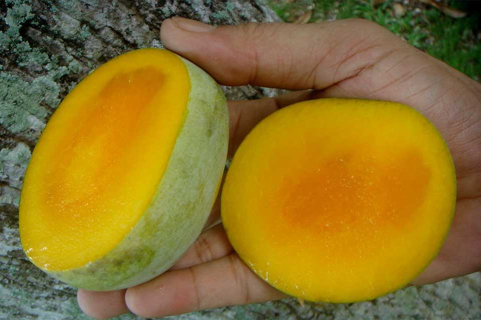Le kuweni - Fruits